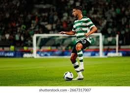 佐藤辉明火力全开独走全垒打、打点同步领先 有望挑战令和第二位三冠王｜日职